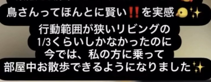 クロース真桜 tweet media