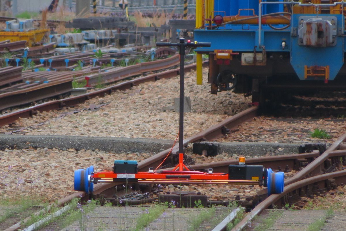 人見知りなキタキツネ tweet media