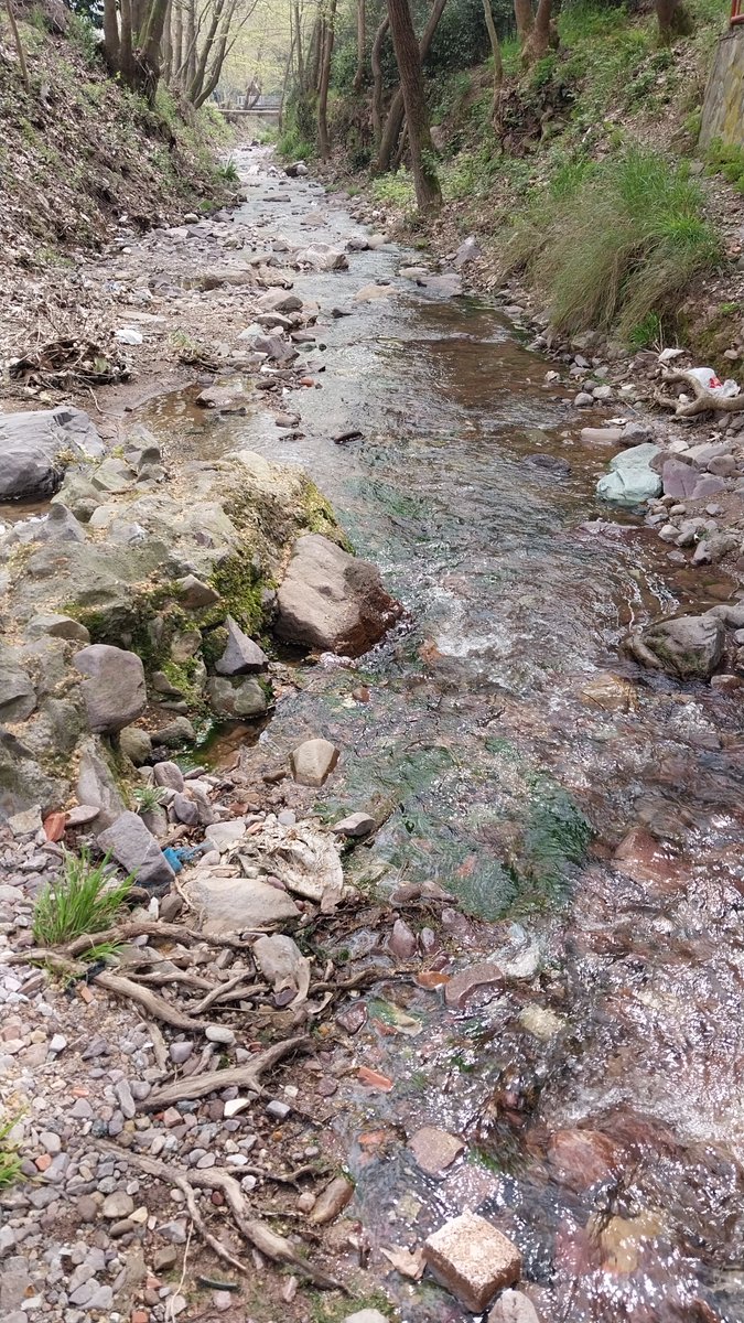 sextingg😈 tweet media