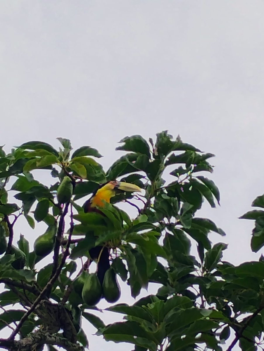 d. mello☭🇦🇪 tweet media