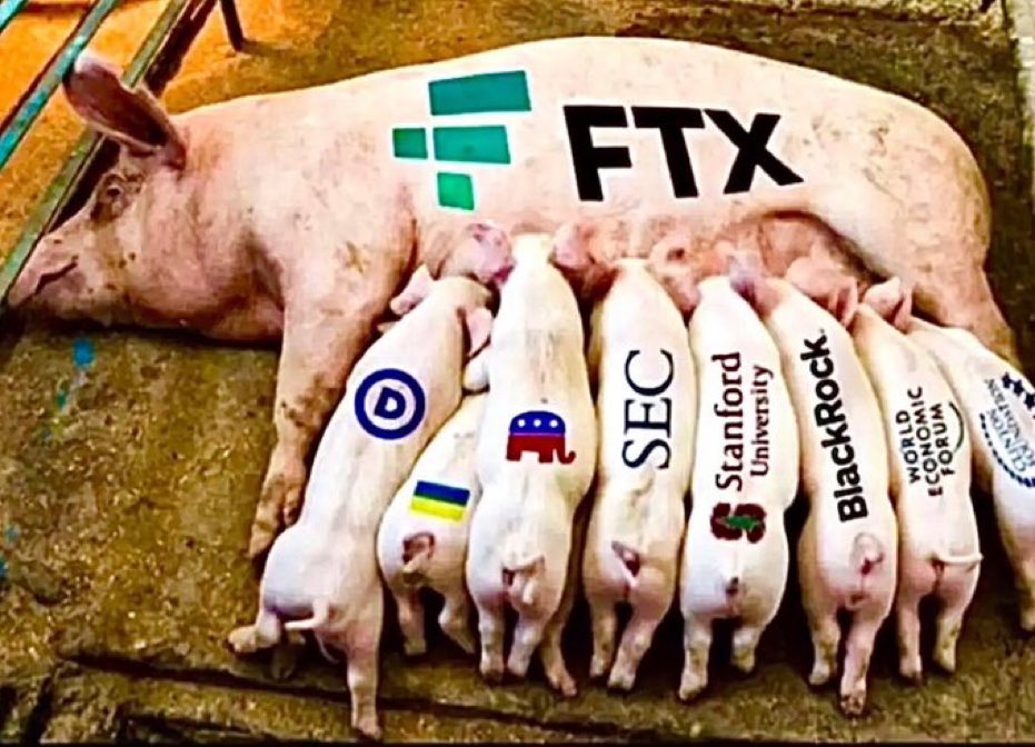 90214Safari's tweet image. oh yes #FTX and the boy with the hyphenated jewish name.  good times...🤔