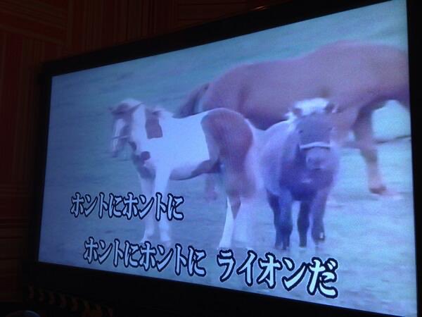 イアンX tweet media