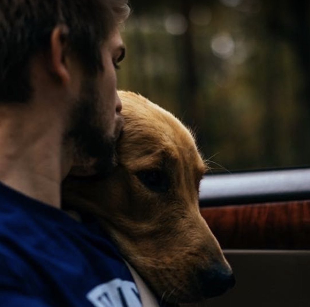 Matt Van Swol tweet media