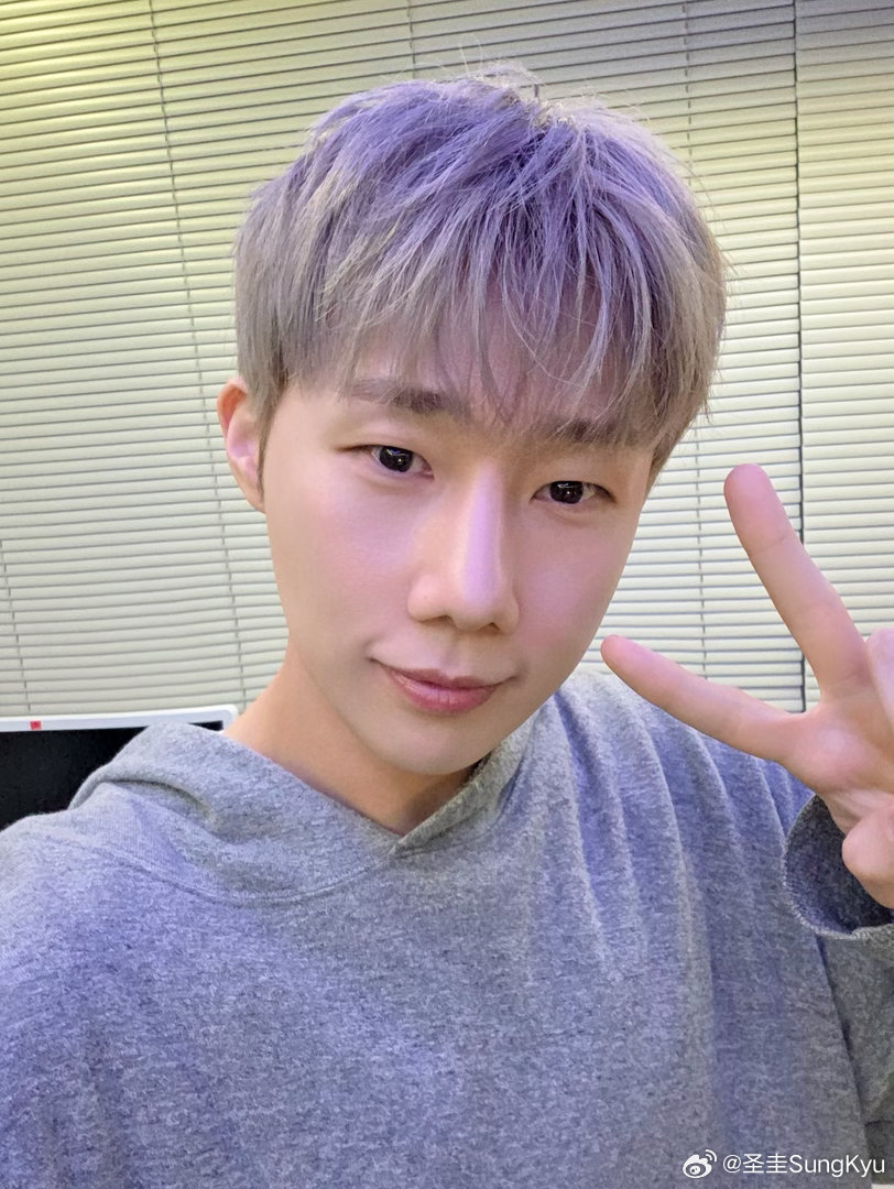 INFINITE INFO tweet media