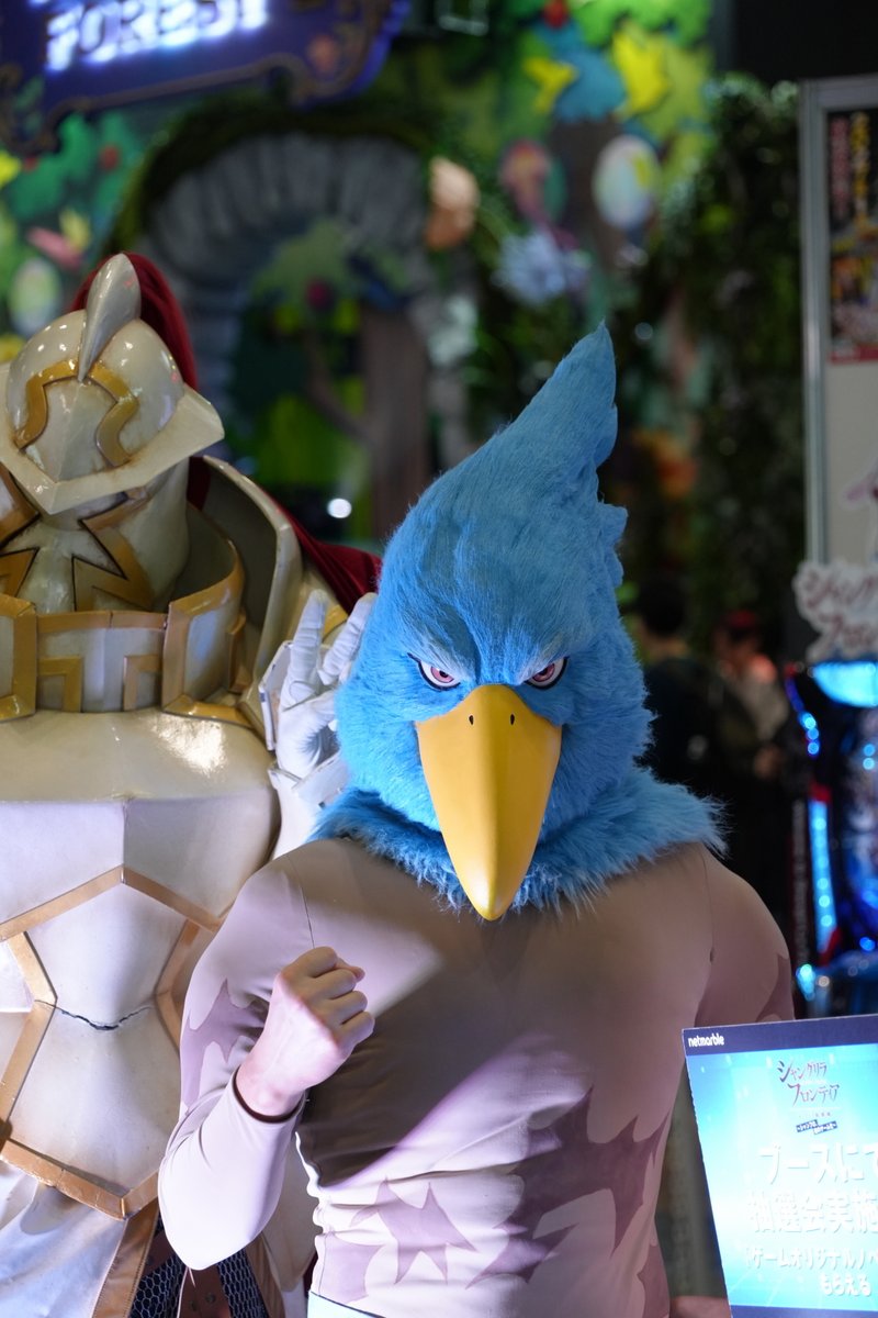 ロブ＠写真用 tweet media