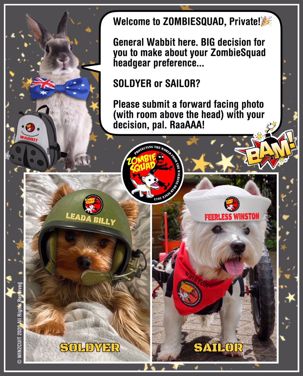 Wabbit & Henry #ZSHQ 🐰🐶 tweet media