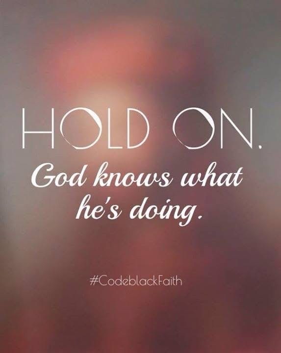 Nathan e Austin tweet media