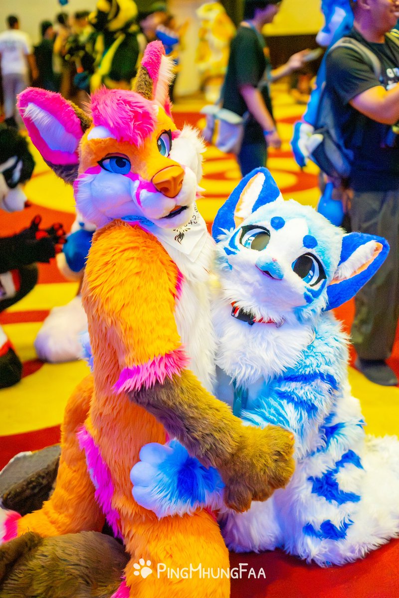 🦊 Kiyochii Thefox ✨ tweet media