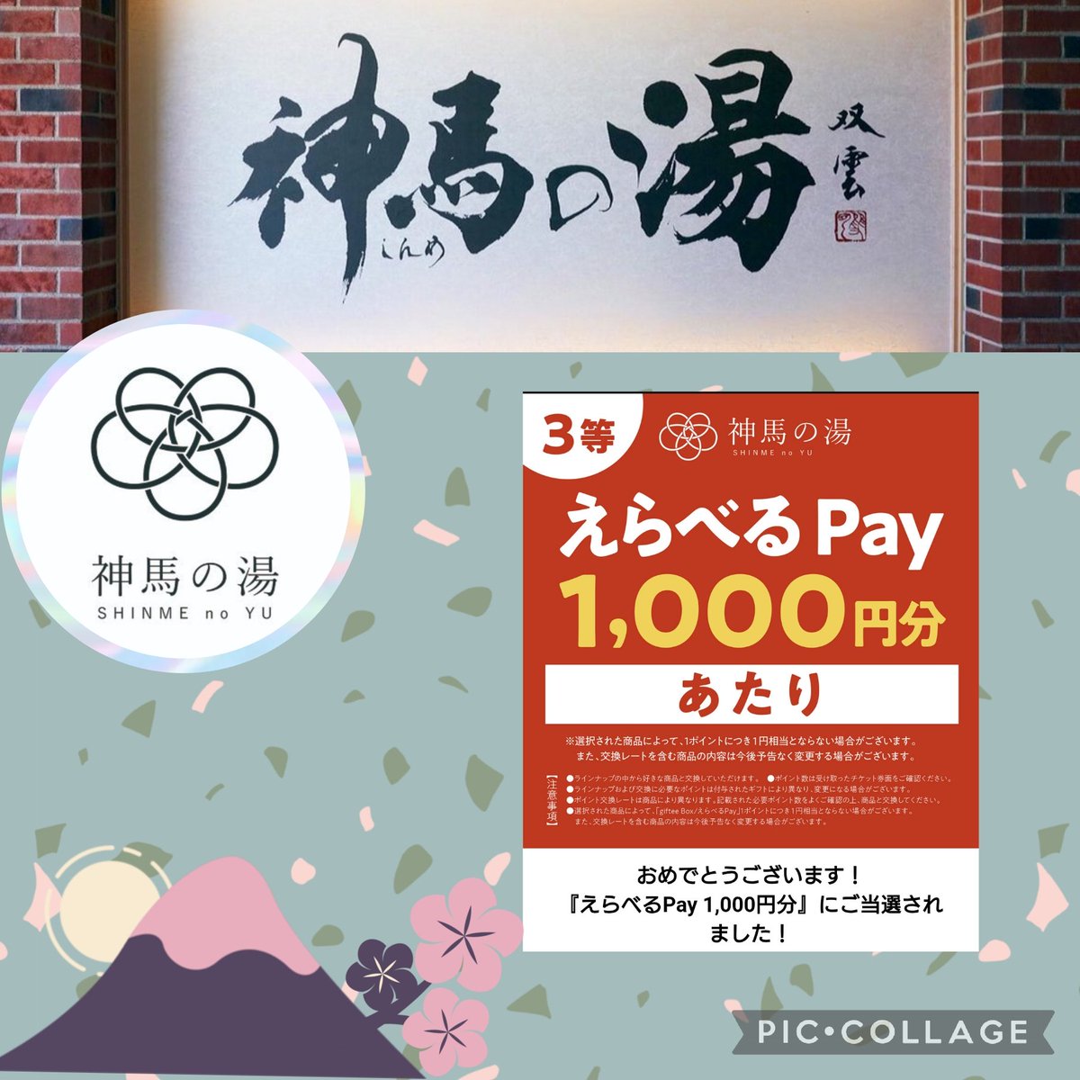 Cocoちゃん tweet media