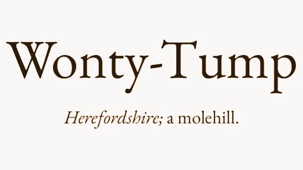 Cian McCarthy tweet media