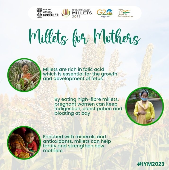 MilletsofIndia tweet media