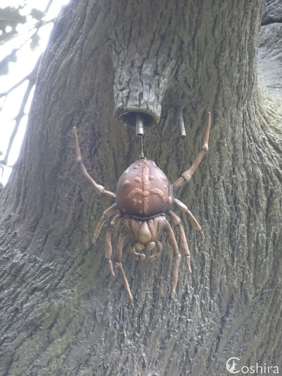 Coshira_'s tweet image. 😲 na hele lange tijd is de spin weer terug bij de #Sprookjesboom 🕷️
#Efteling #Sprookjesbos