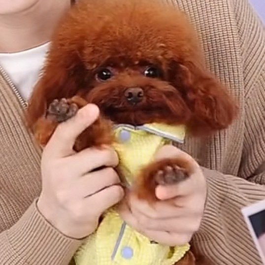 He’s smiling 😭😭

OCEAN IN CLOUD HOME 
#VIRJOYwJIANGHENG