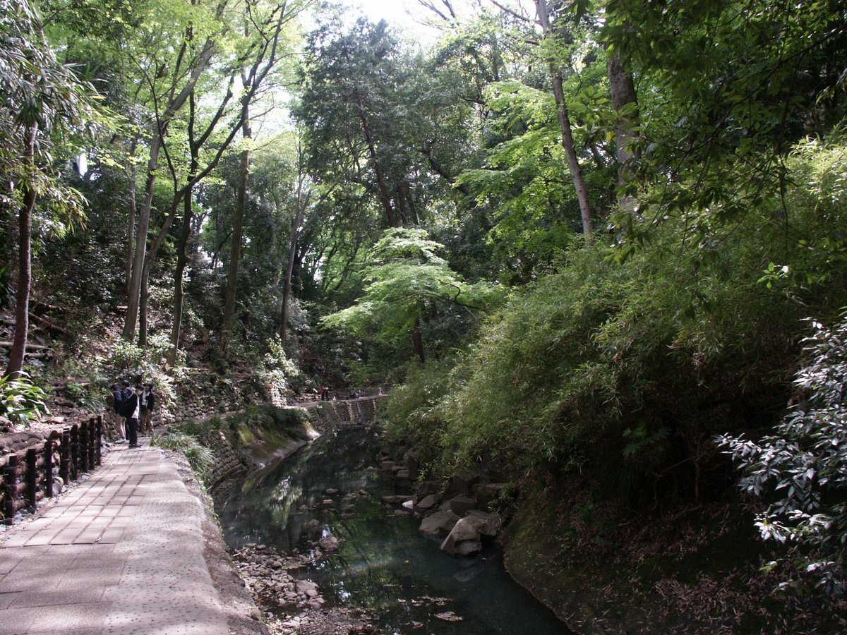 1000mi0's tweet photo. MINOLTA DiMAGE 7Hi
等々力渓谷
撮影の時はすれ違いに注意。
#等々力渓谷 #世田谷区 #等々力 #MINOLTA #DiMAGE #オールドコンデジ https://t.co/luy0jSAvNo