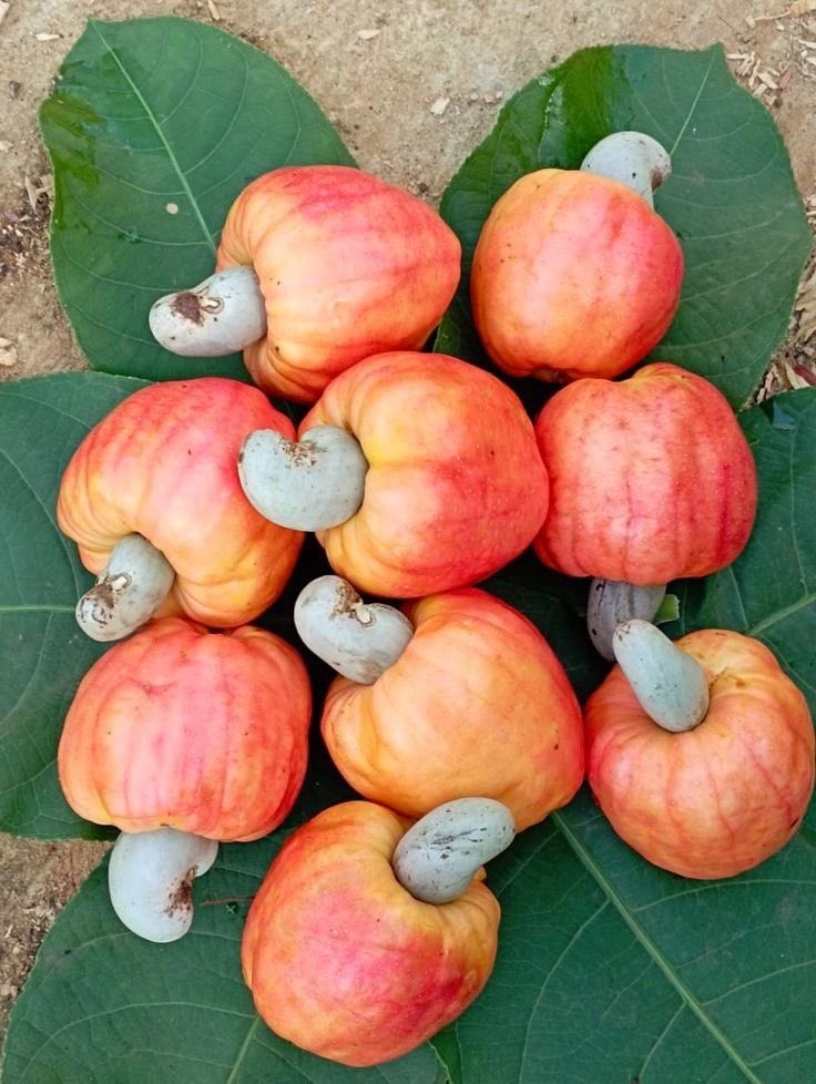 Jehu Chijioke tweet media