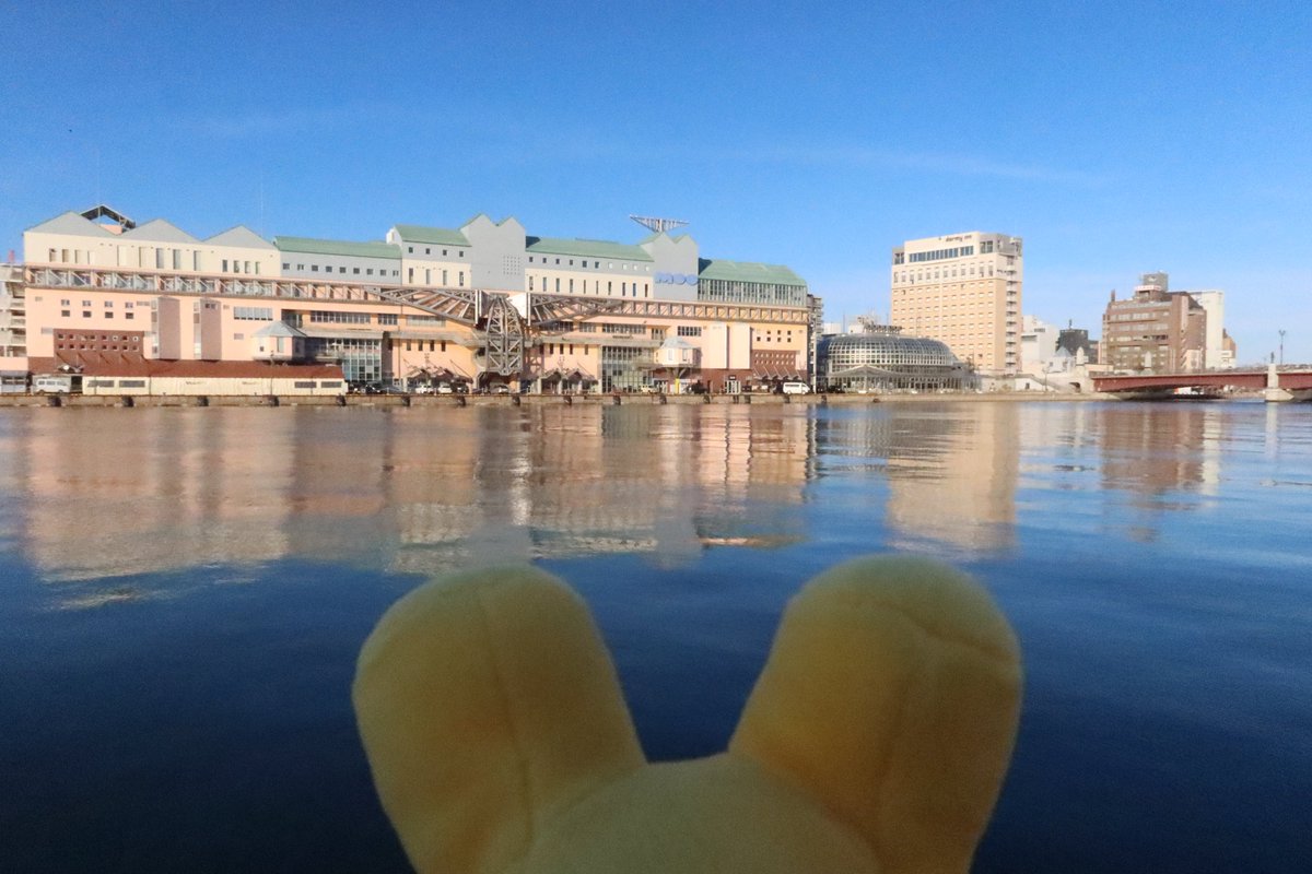 くしろドットコム tweet media