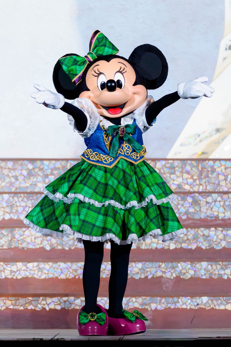 まめっち🐈 tweet media