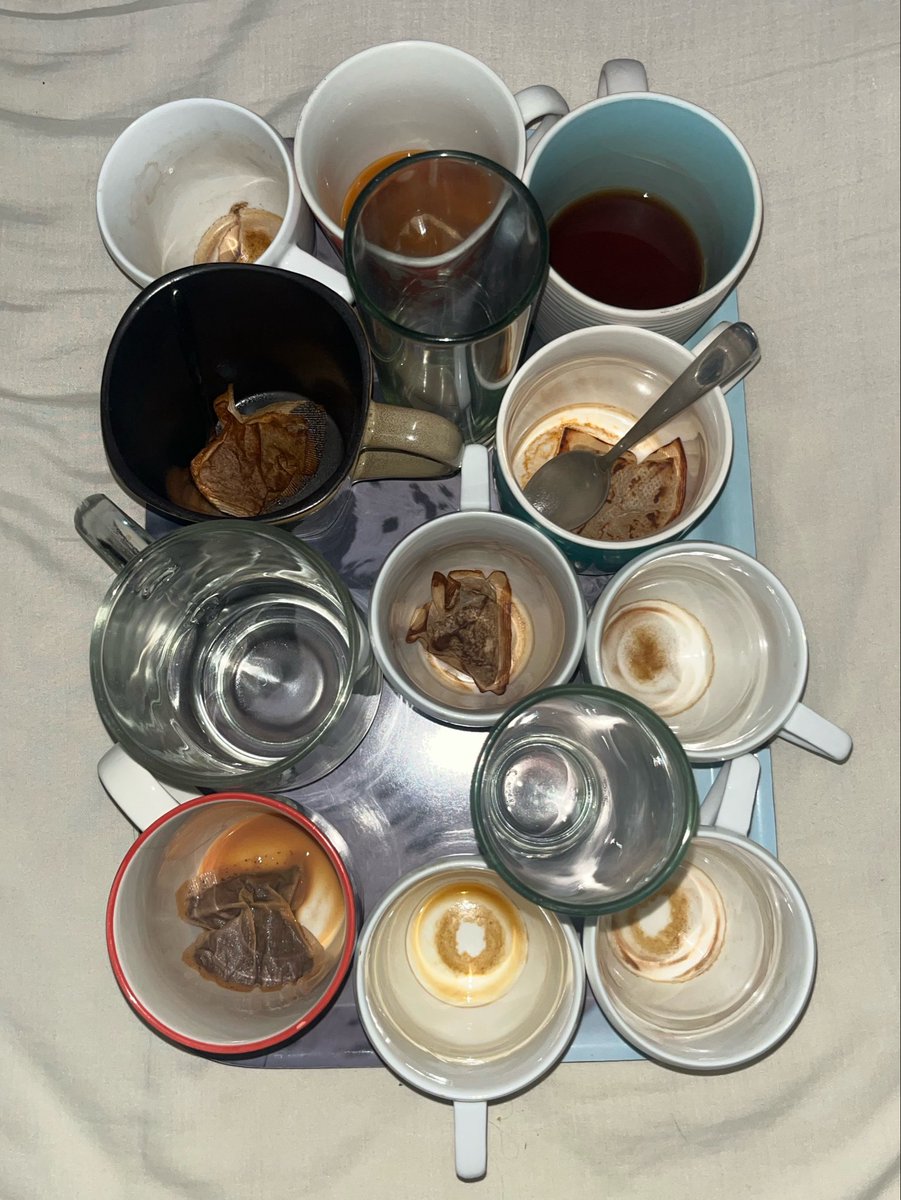 fiona gallagher tweet media