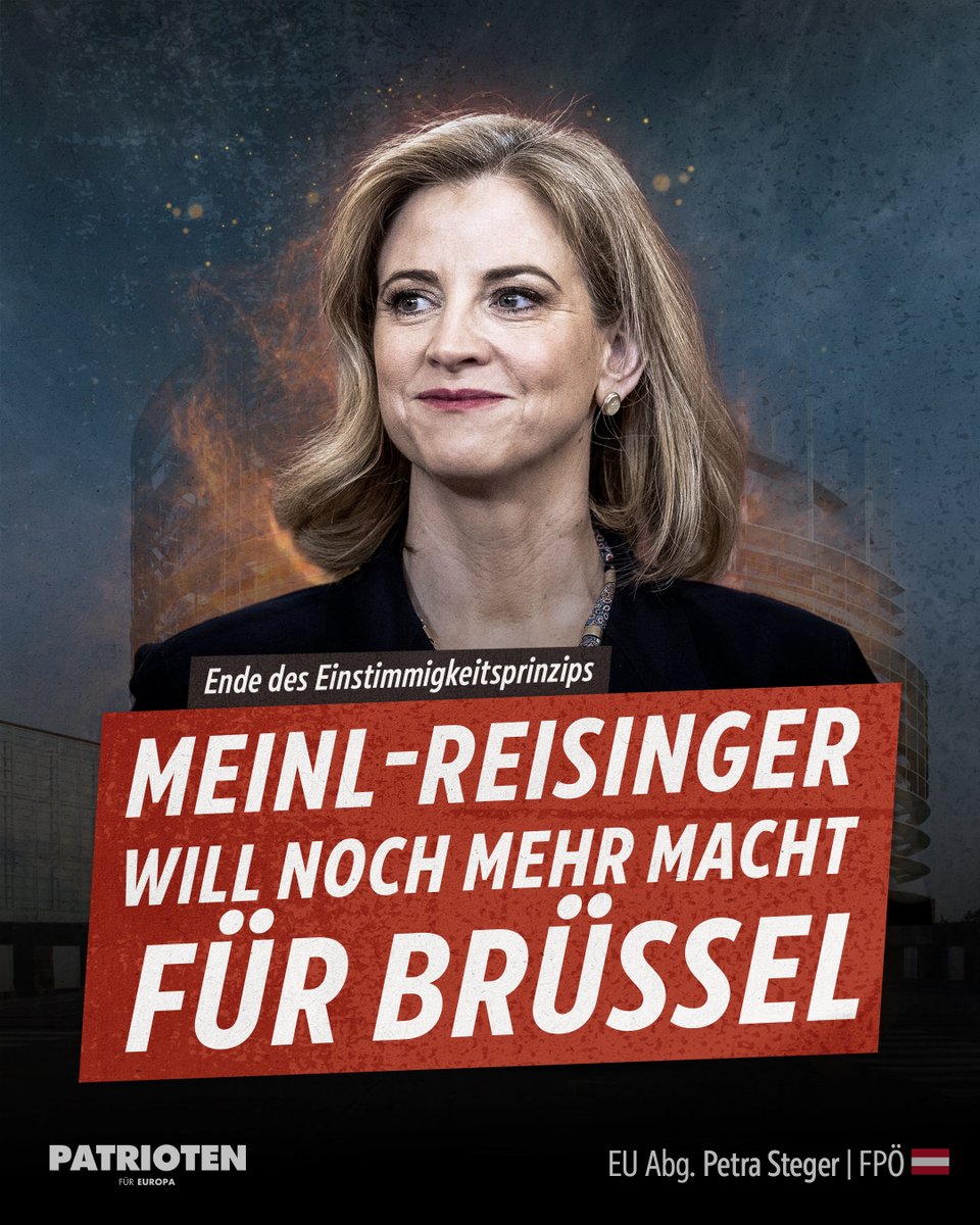 Petra Steger tweet media