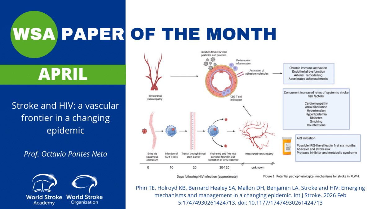 WorldStrokeEd's tweet image. New #PaperOfTheMonth 🔍

🧠Stroke in people living with #HIV is rising &amp;amp; often underrecognized.

🧩A complex mix of 
👉vasculopathy
👉inflammation
👉ART effects
👉and traditional risk factors is driving risk at younger ages

Read and listen here ⤵️

world-stroke-academy.org/news/the-paper…