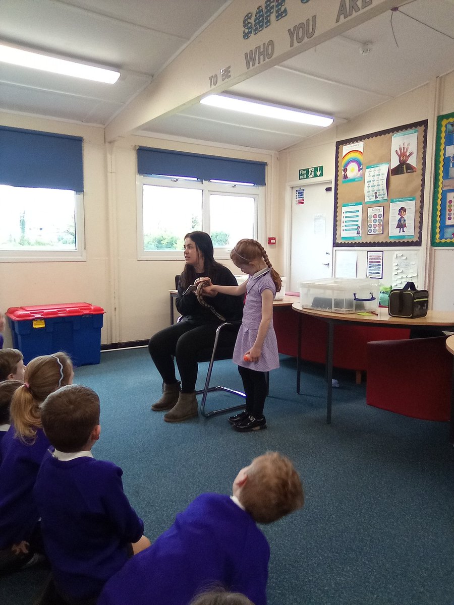 Class1Highpri's tweet photo. We absolutely loved meeting, learning about and holding all of the animals that visited us today.
#HighfieldsScience
#theanimalman https://t.co/vGb37SOMez