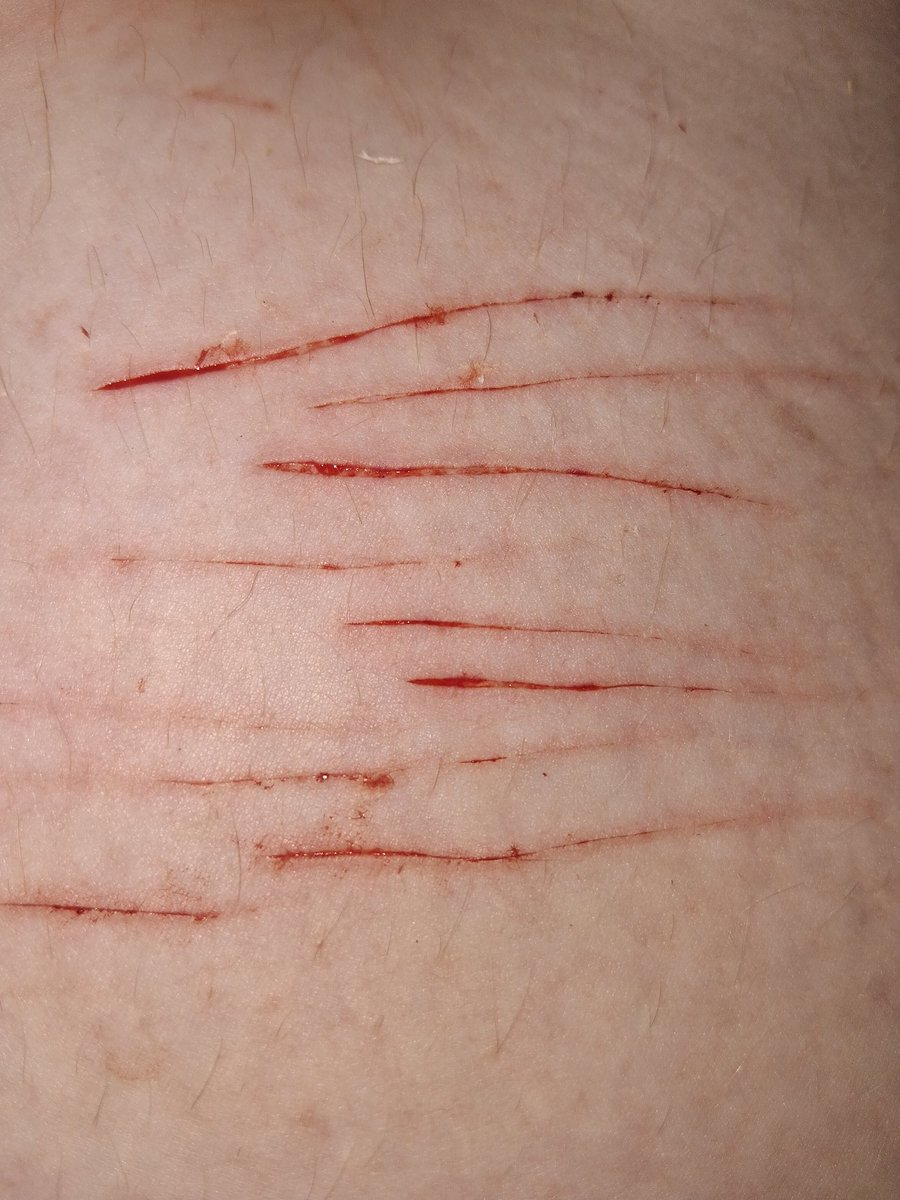 Billburrsballs's tweet photo. Recent cuts that I wasn't able to post all week
#shedtwt #shtwt #slittwt https://t.co/UPhHeazBtJ