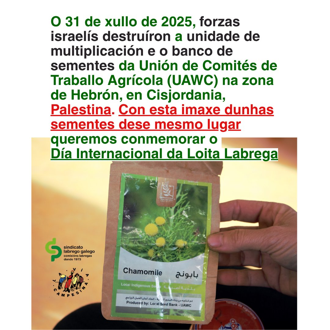 Sindicato Labrego tweet media