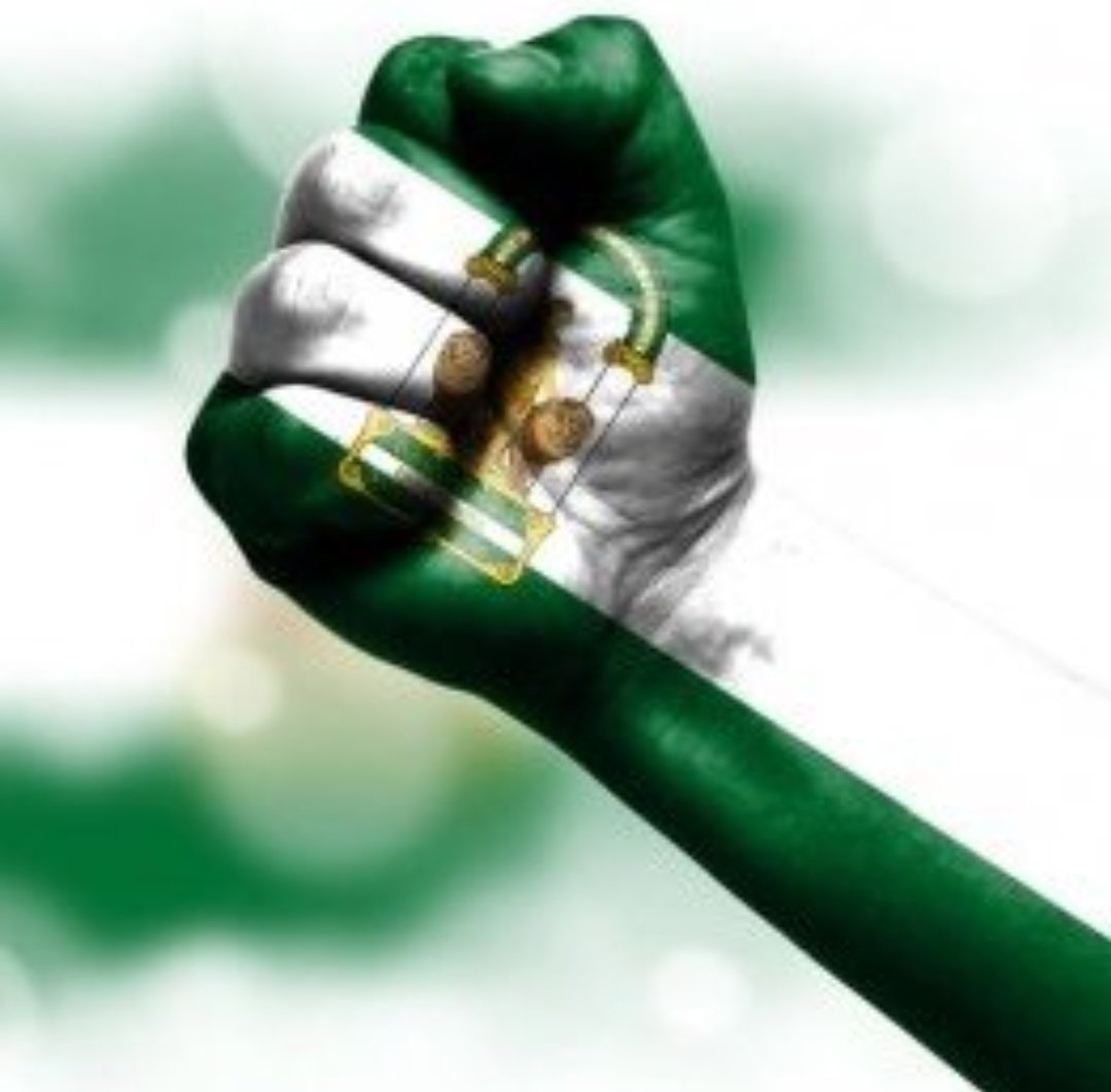 La Abuelita Cadista tweet media