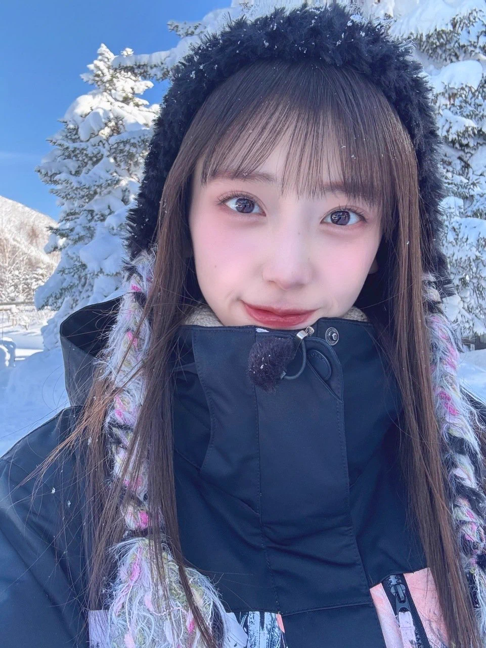 乃木坂46 on X: 