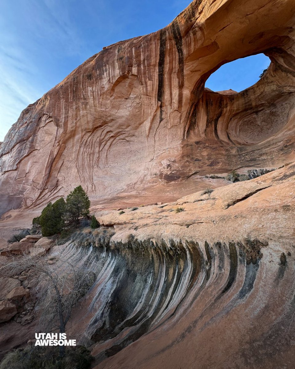 UtahIsAwesome's tweet image. "...ramble out yonder and explore the forests, climb the mountains, bag the peaks, run the rivers, breathe deep of that yet sweet and lucid air, sit quietly for a while and contemplate the precious stillness, the lovely, mysterious, and awesome space."
– Edward Abbey #Utah