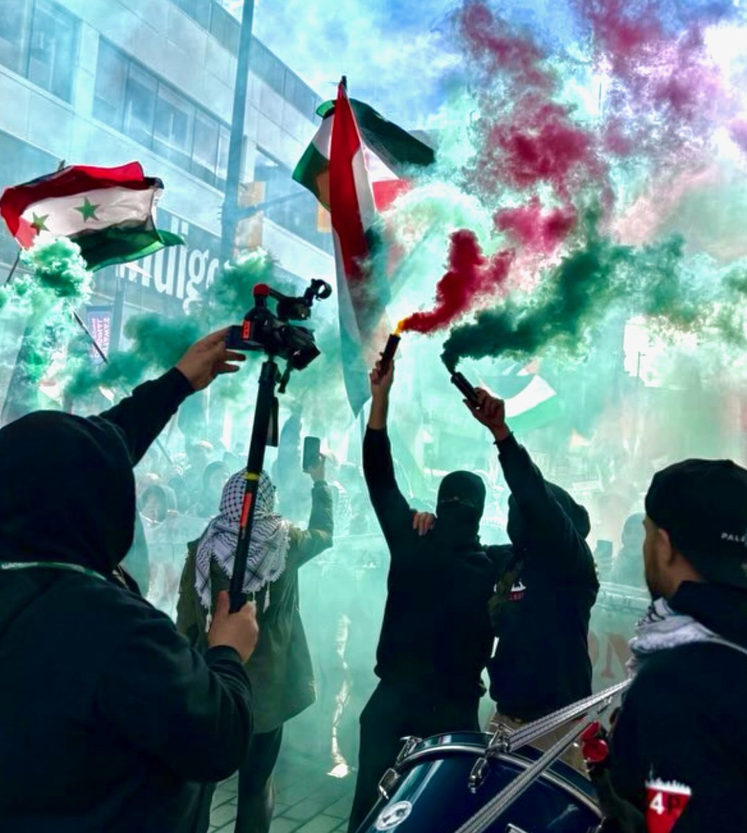 dahlia kurtz ✡︎ דליה קורץ tweet media