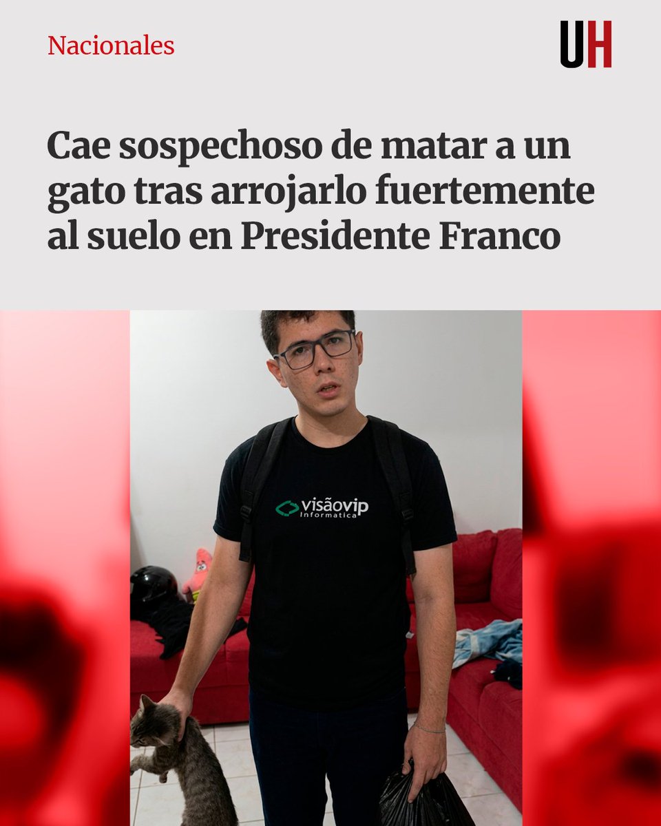 Última Hora tweet media