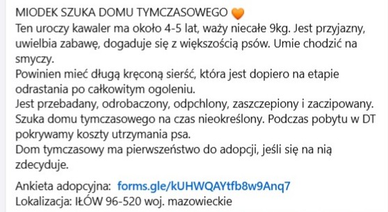 Robwalka Wolf tweet media