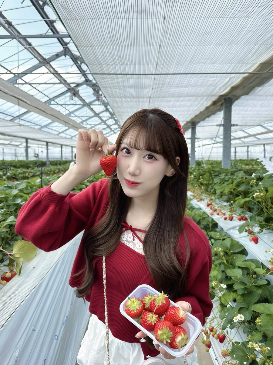 桃城むい❤️🪽【MOMENT COLECTION】 tweet media