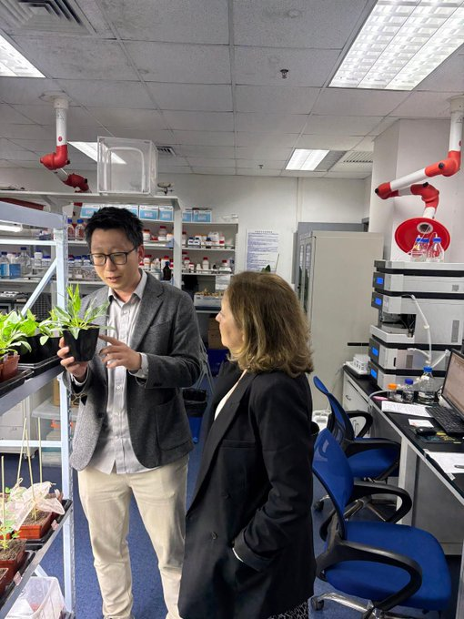 ChinaEnEsp's tweet image. 🤝 La presidenta del #CSIC inicia un viaje de trabajo a China para reforzar la colaboración con instituciones científicas.

📷 Hoy se ha reunido con la Universidad de Shanghái, la Universidad Jiao Tong de Shanghái y el Centro de Excelencia en Ciencias Moleculares de las Plantas.