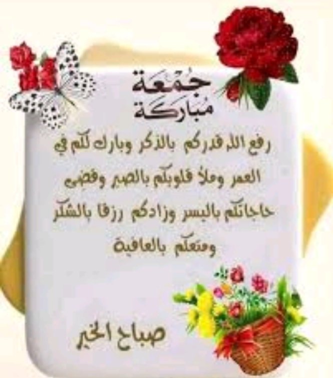 نوره الانوار (@alanwarnwr84310) on Twitter photo 