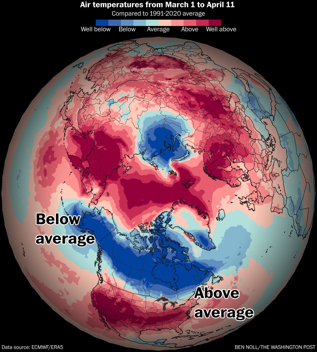 Ben Noll tweet media