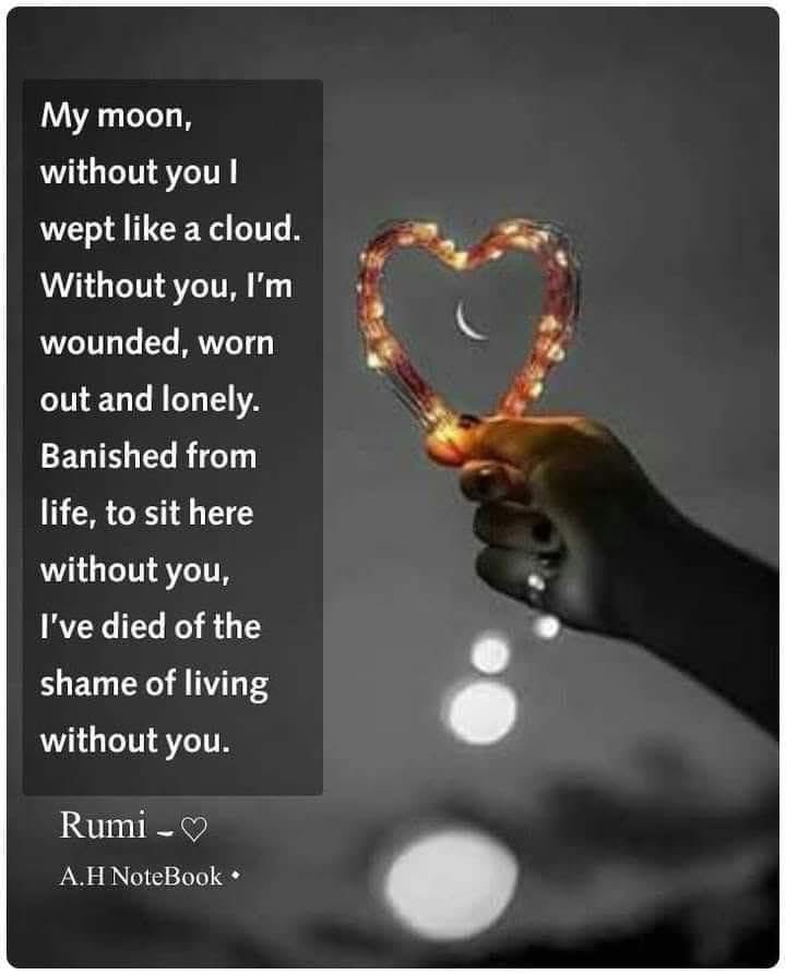 DispurseStar2's tweet image. #QuoteOfTheDay ❤️