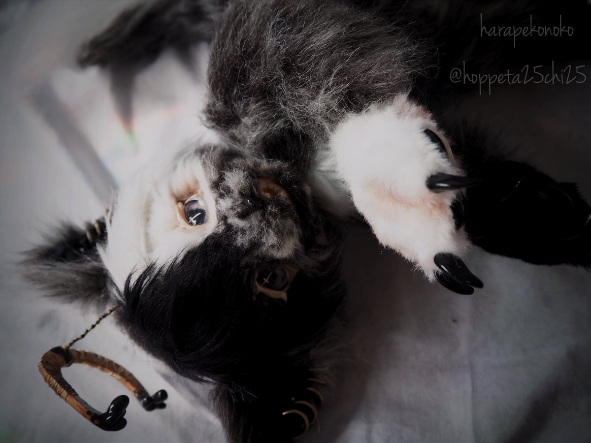 hoppeta25chi25's tweet image. 『堕ちたコ』

僕だって
昔は天使でした

#ハラペコノコ #artdoll #アートドール ↓つづく