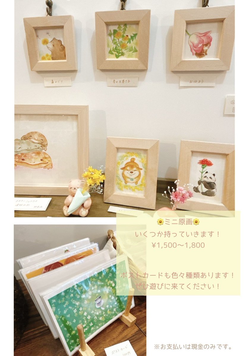 ひだまり🌻まるデザ19日【F-11】 tweet media