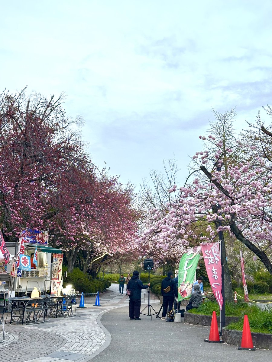 アリサ⬢⬡⬢ tweet media