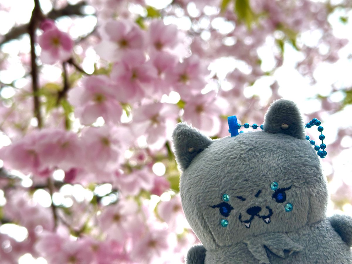 アリサ⬢⬡⬢ tweet media