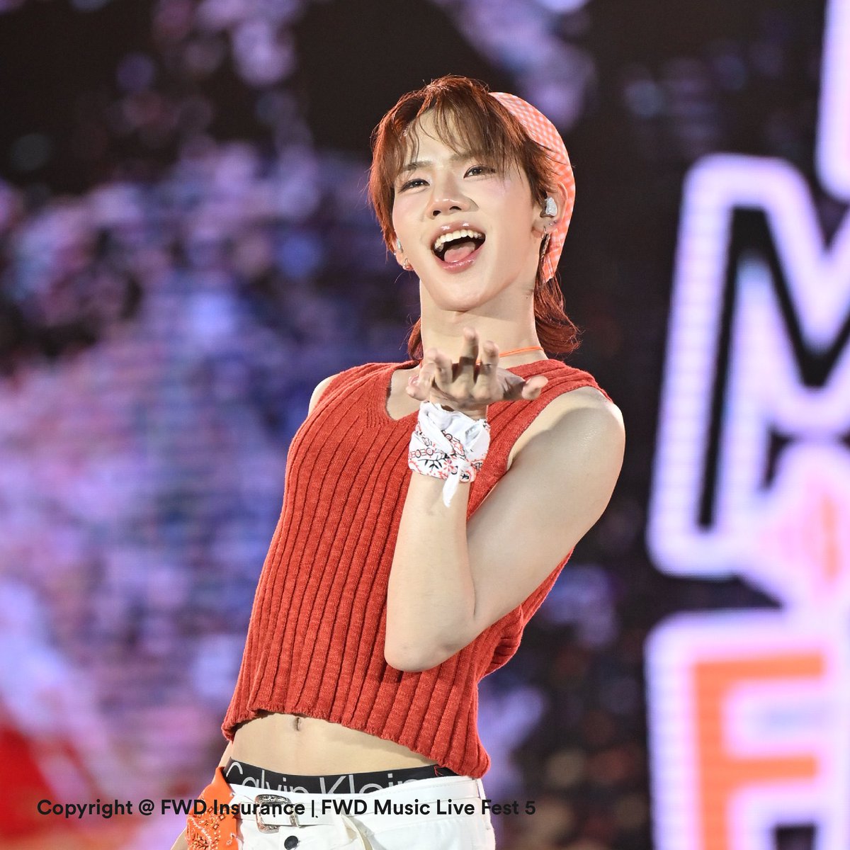 my tiny gigy 🐈‍⬛ tweet media