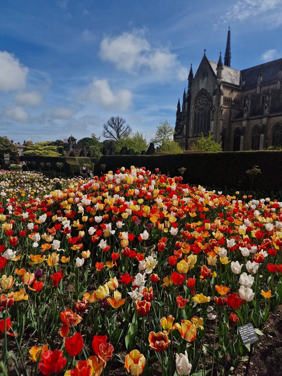 Connor Tomlinson tweet media