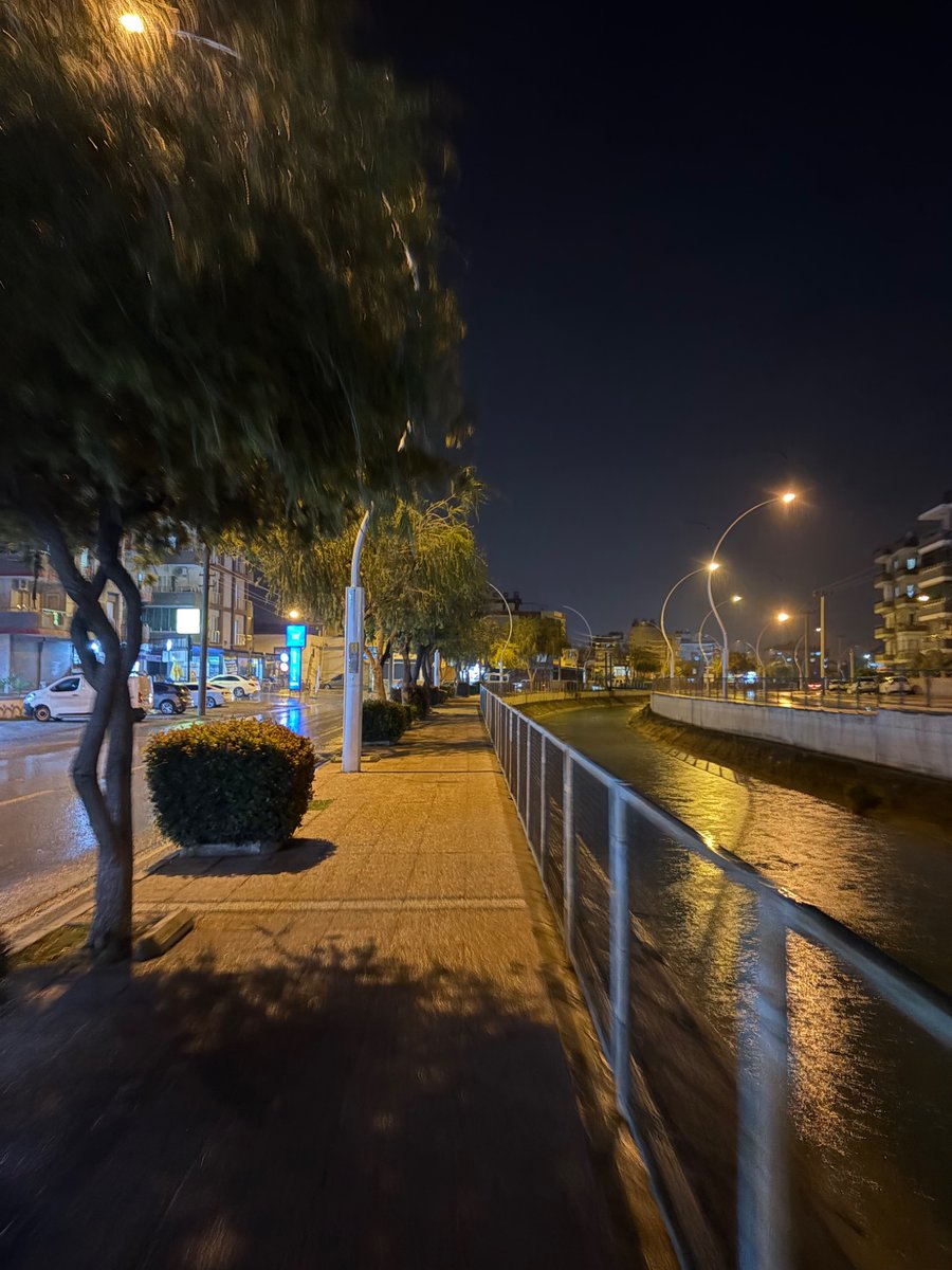 キュウラ tweet media