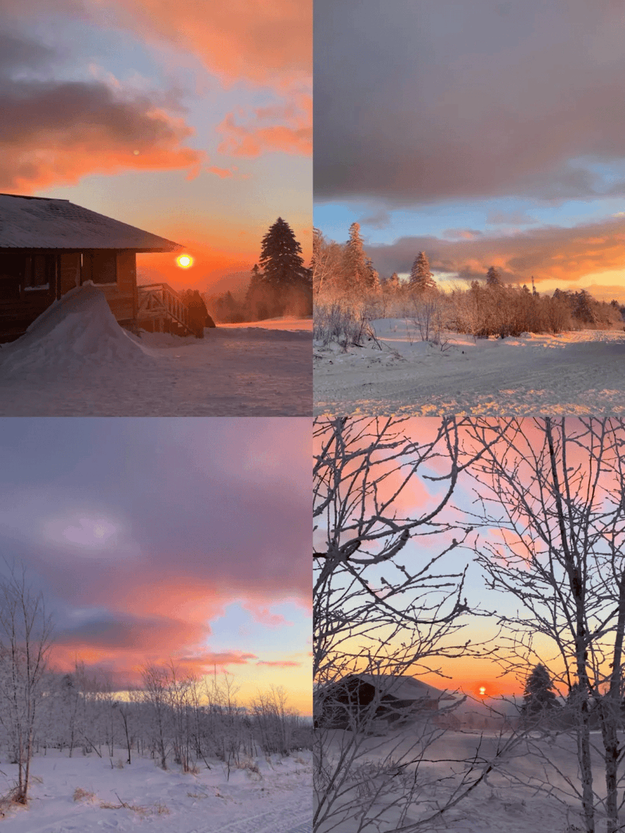 Yoann Briancourt tweet media