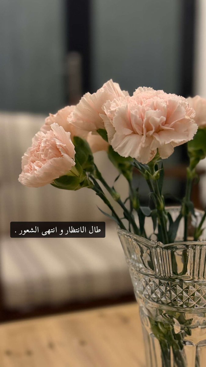 alsool3ya9's tweet photo. بس عموما ياروحي جيت اقلك وداد
هذا قلبي وتبقى كلمته فالاخير
🤍 https://t.co/EFTHeIPmxw