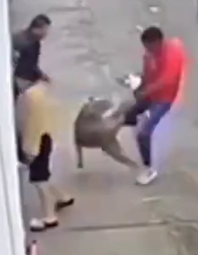 Ángela Vidal (Reportera) 𝕏 tweet media