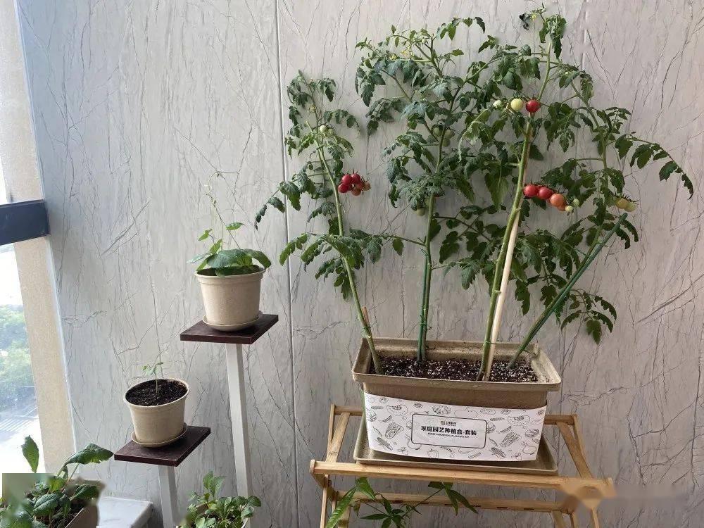 Carlos Jose Mena Rui tweet media