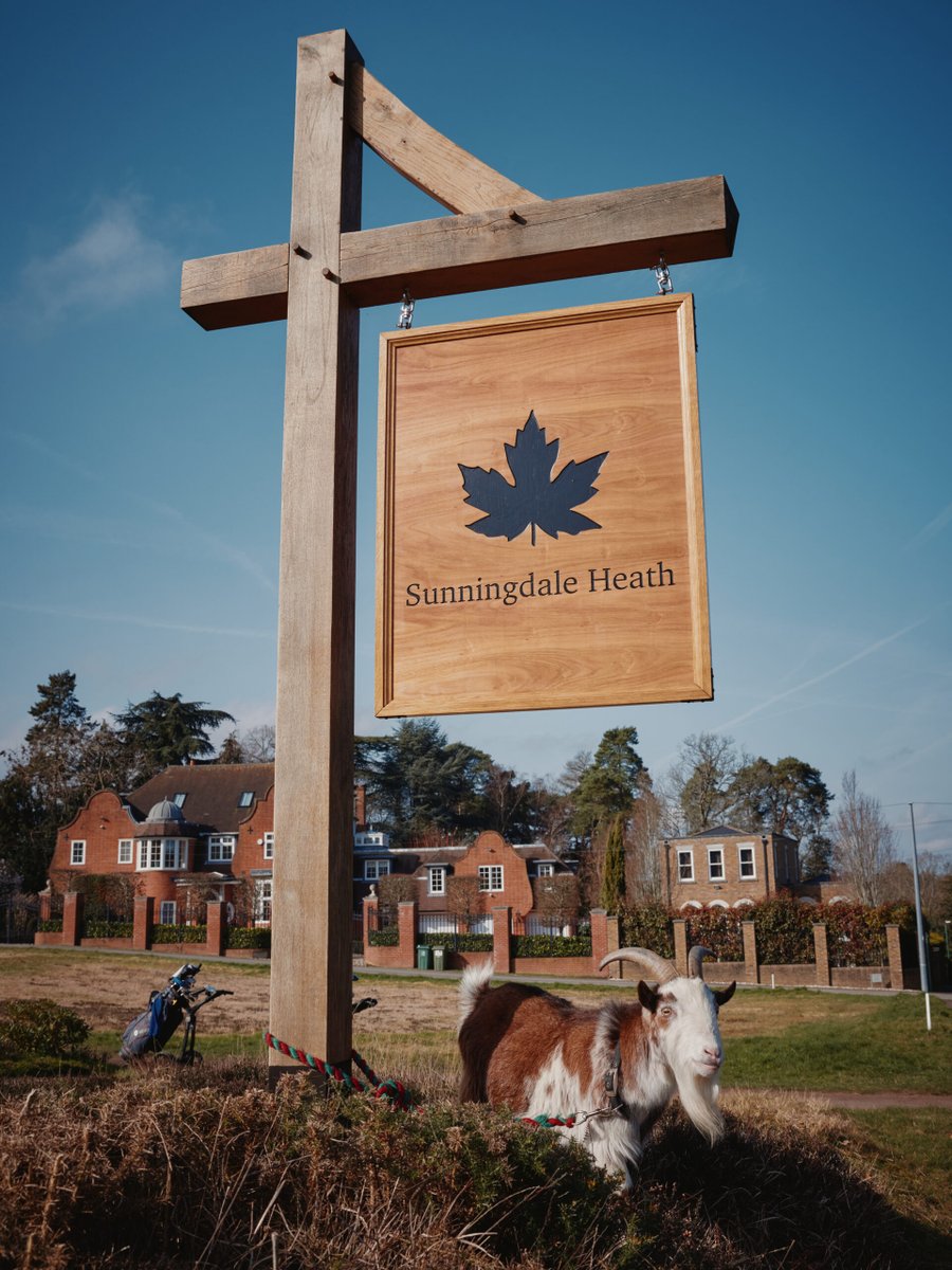 Sunningdale Heath tweet media